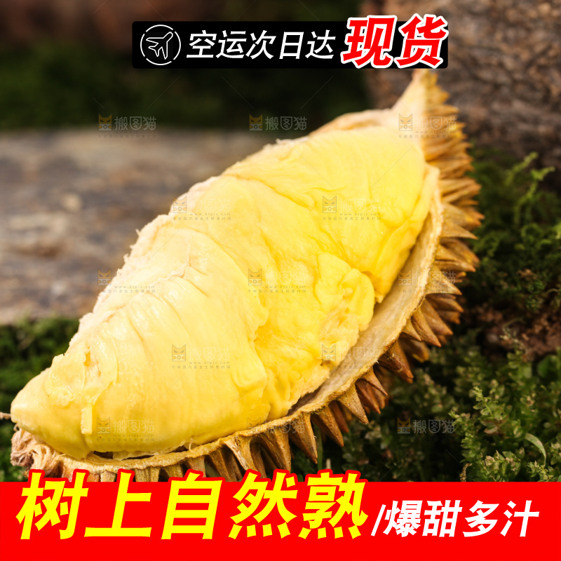 金枕榴莲