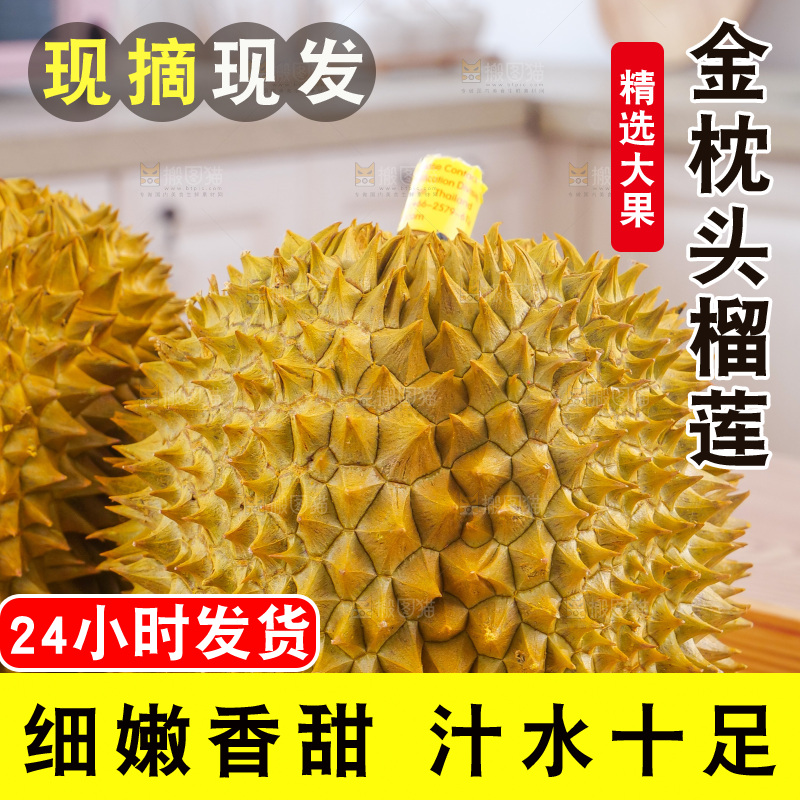 金枕榴莲