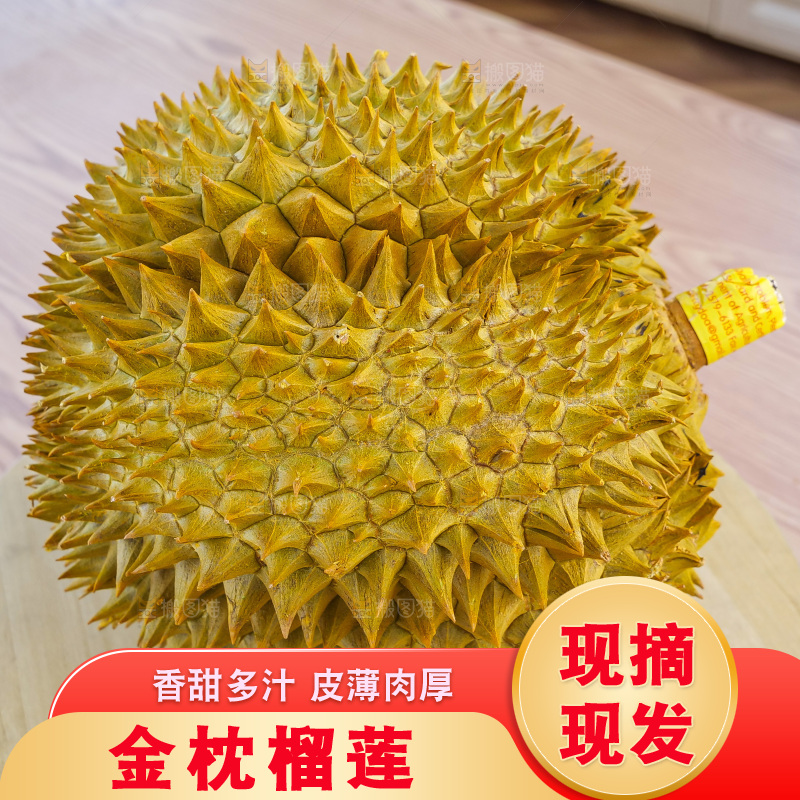 金枕榴莲