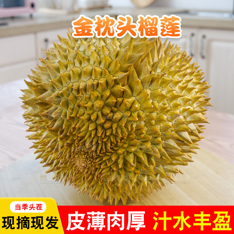 金枕榴莲