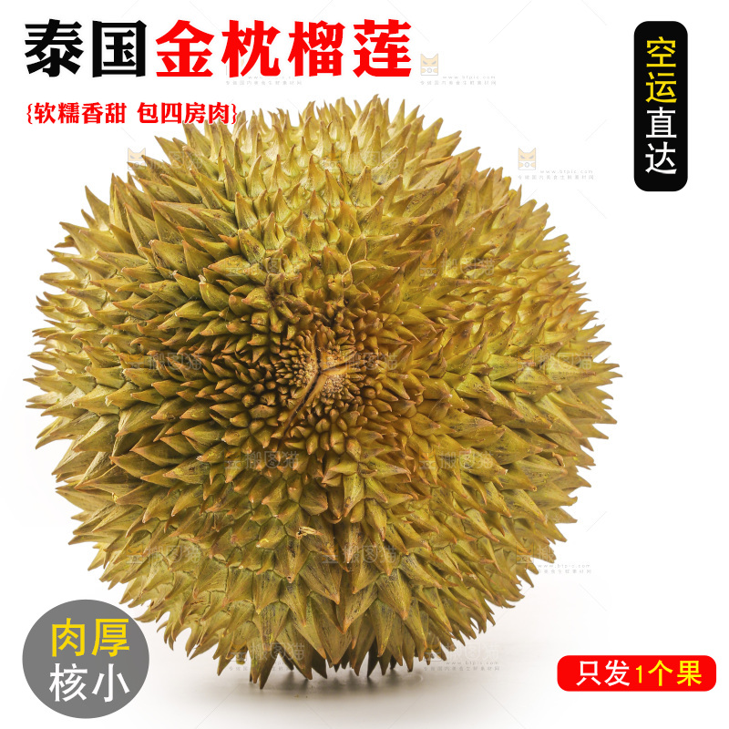 金枕榴莲