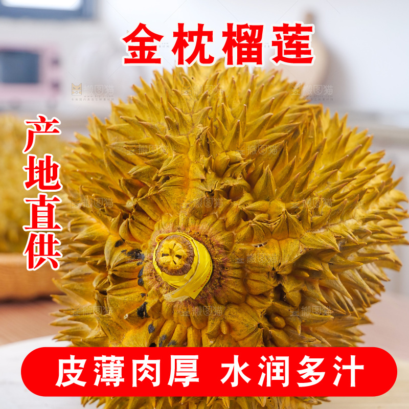 金枕榴莲