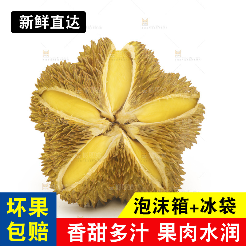 金枕榴莲