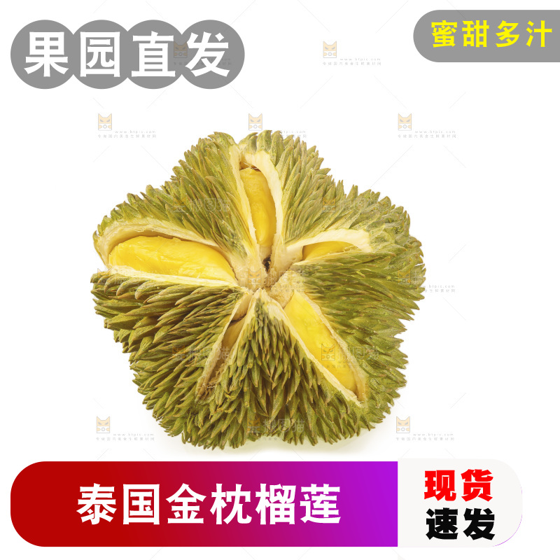 金枕榴莲