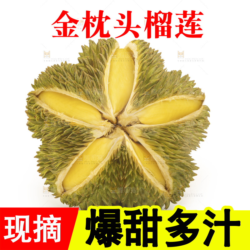 金枕榴莲