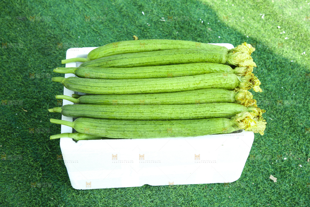 丝瓜