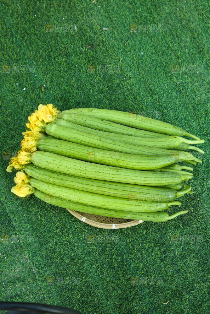 丝瓜