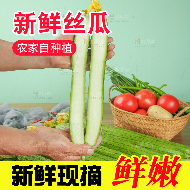 丝瓜