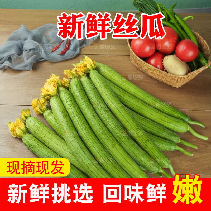 丝瓜