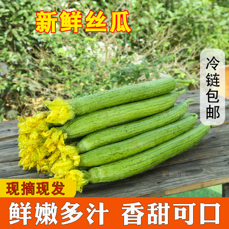 丝瓜