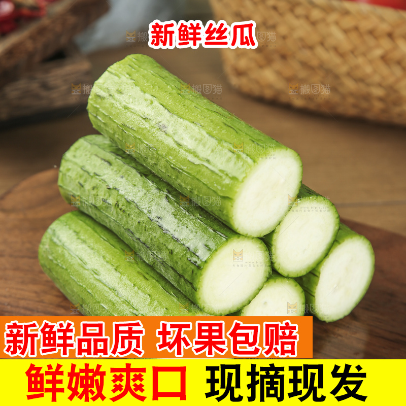 丝瓜