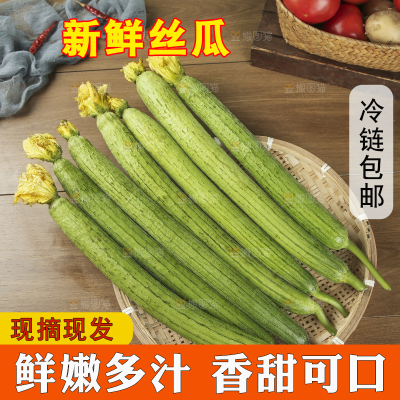 丝瓜