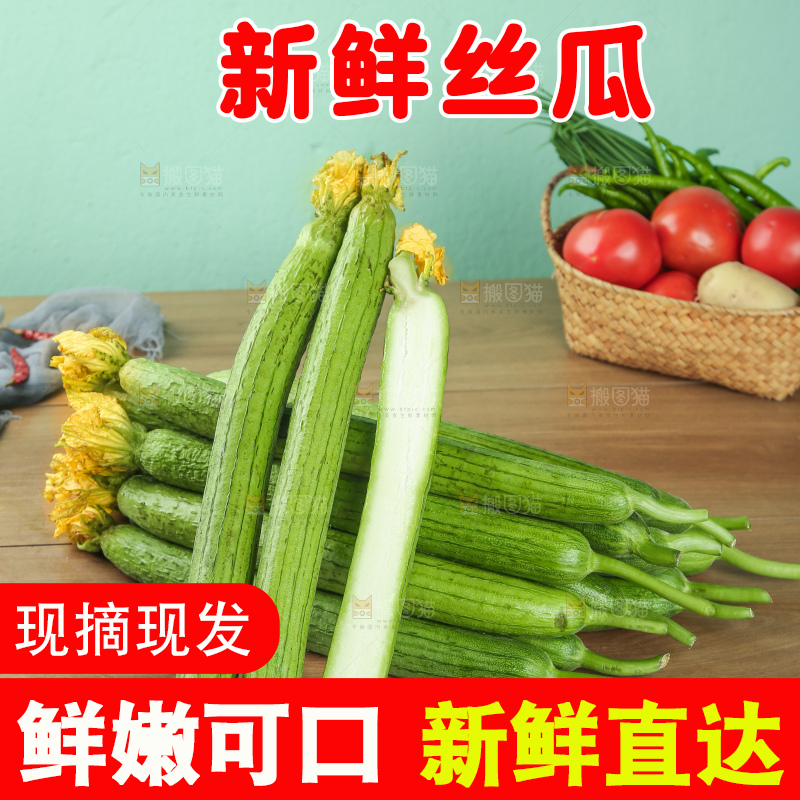 丝瓜
