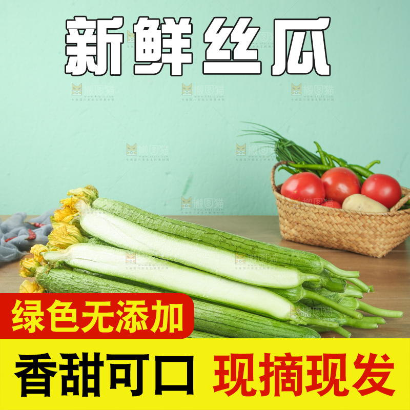 丝瓜