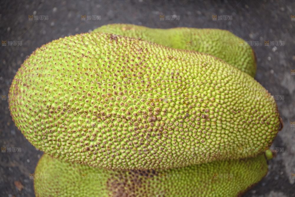 菠萝蜜