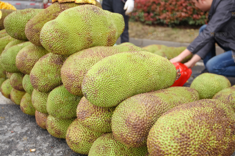 菠萝蜜