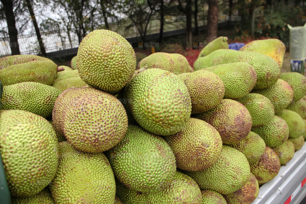 菠萝蜜