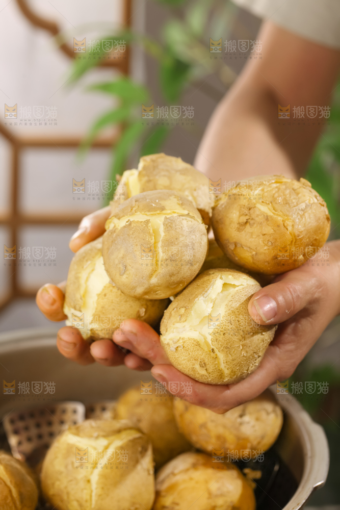 土豆