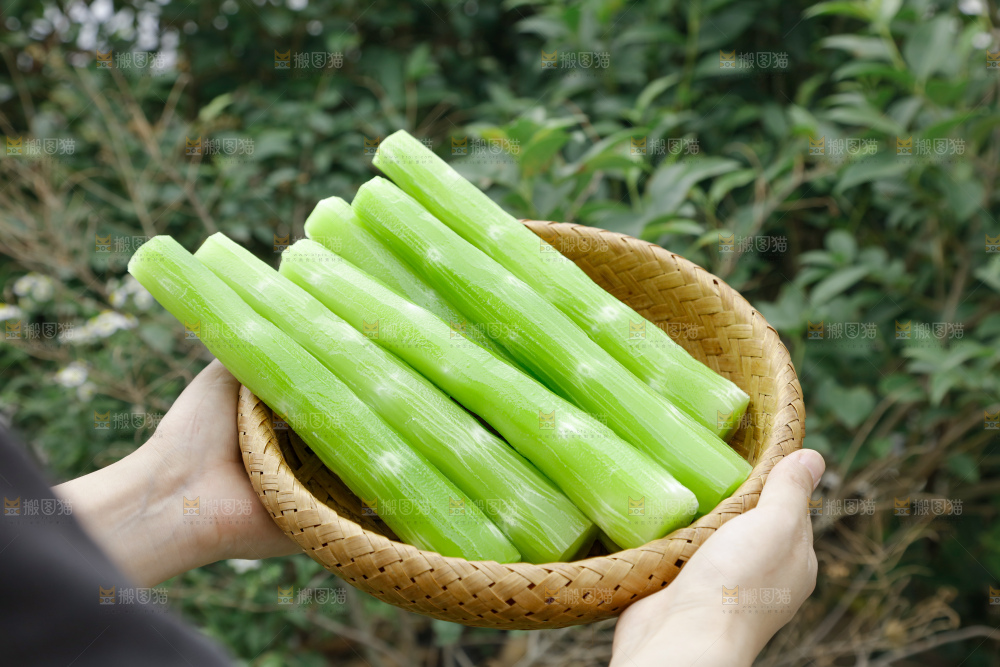 莴笋