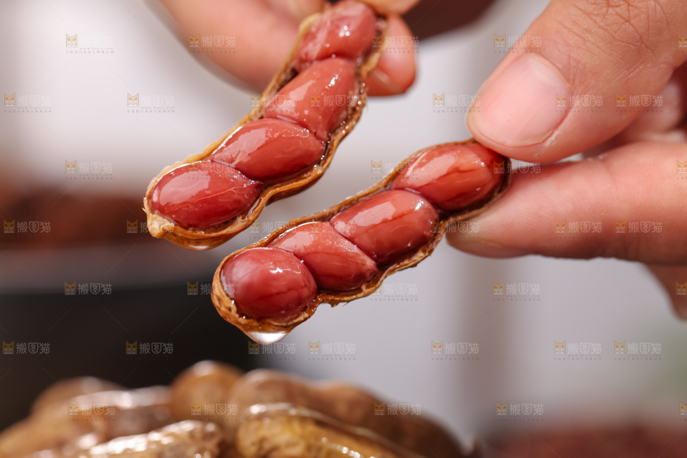 卤花生