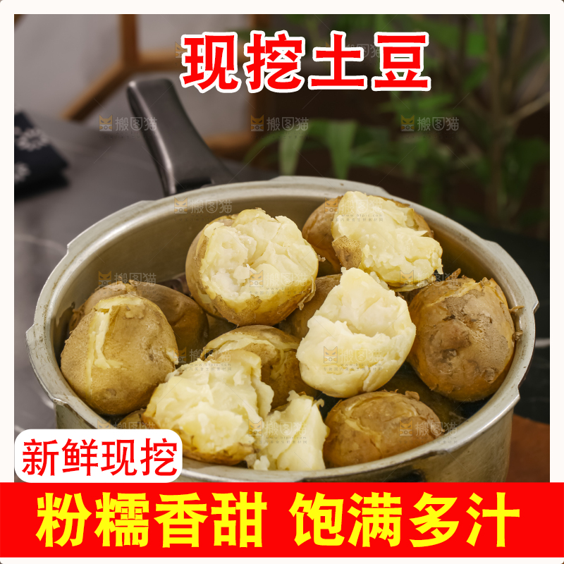 土豆