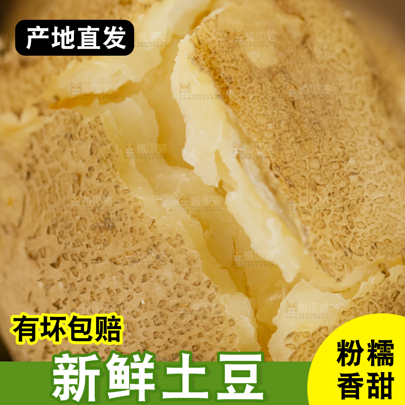 土豆