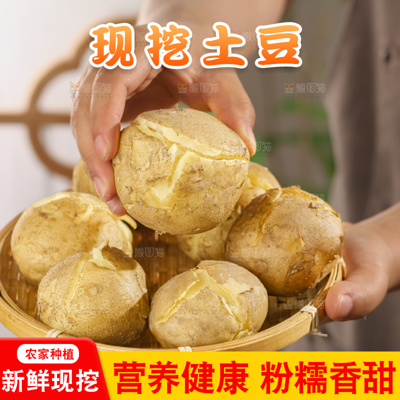 土豆