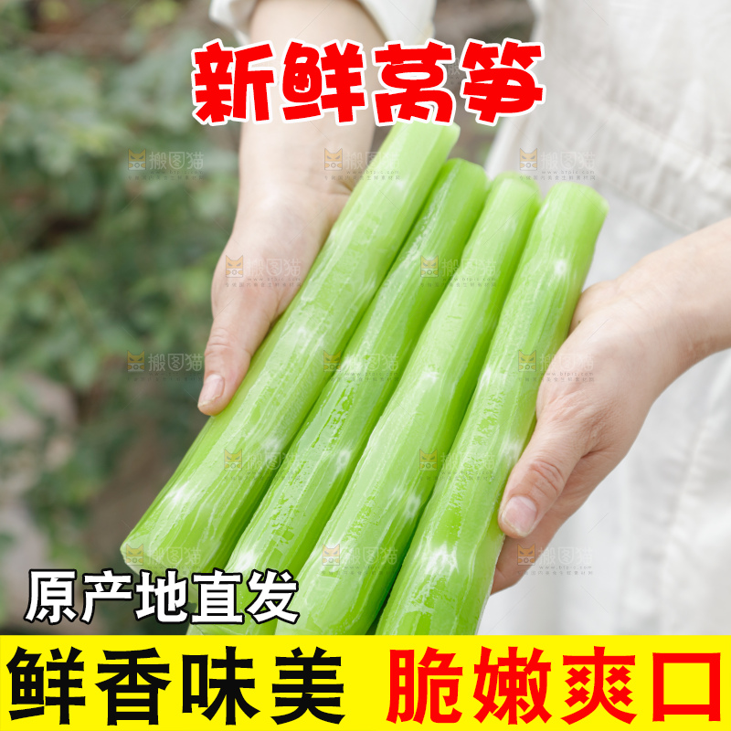 莴笋