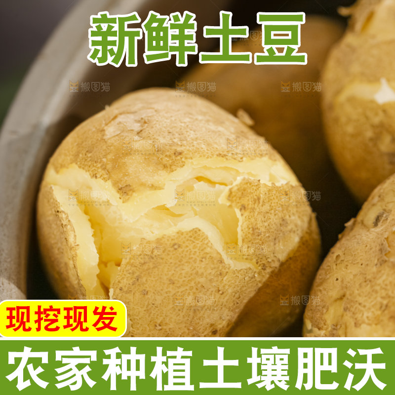 土豆