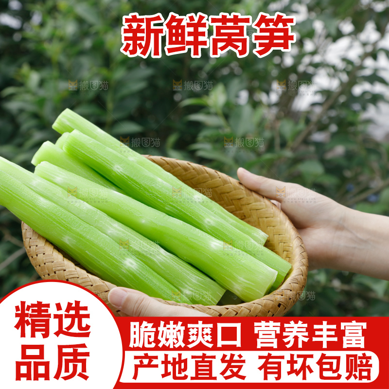 莴笋