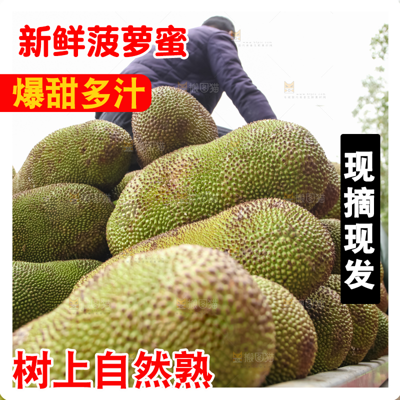菠萝蜜