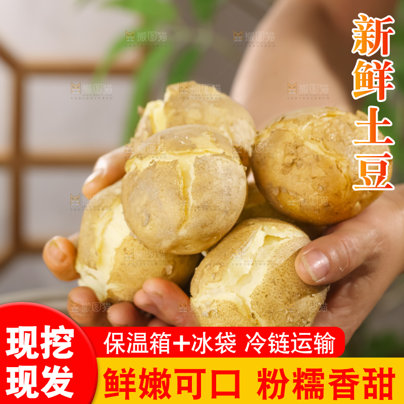 土豆