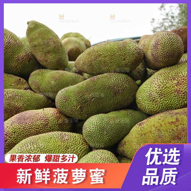菠萝蜜