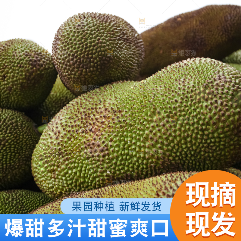 菠萝蜜