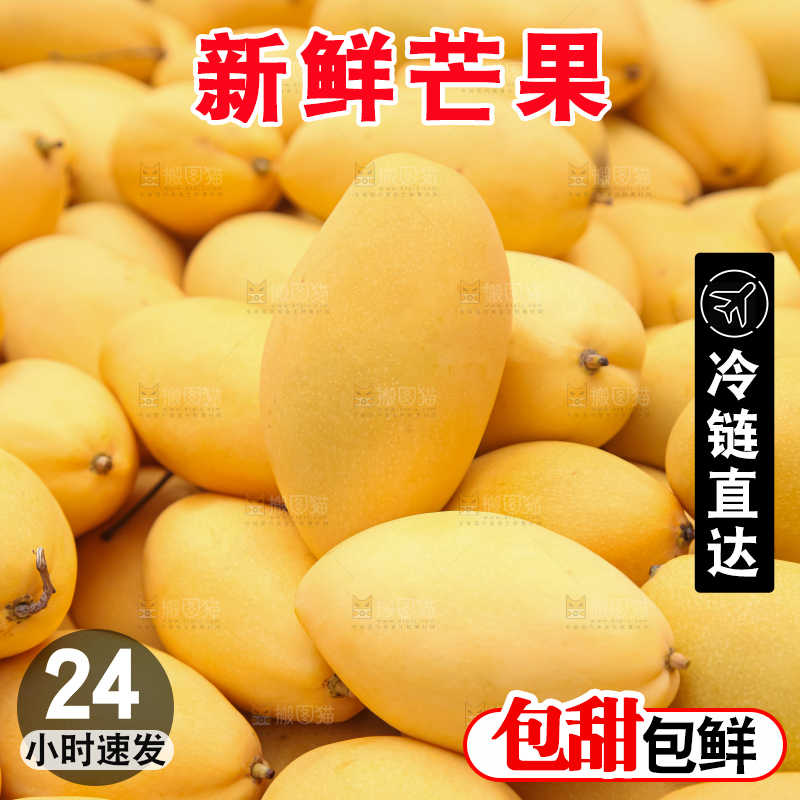 芒果