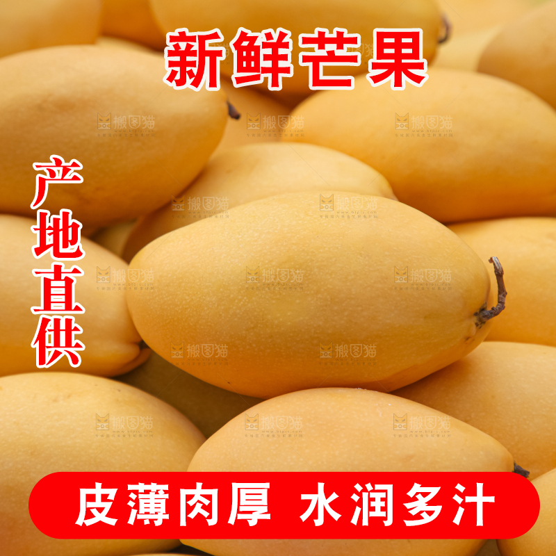 芒果