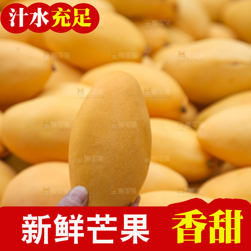 芒果