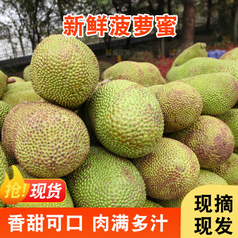 菠萝蜜