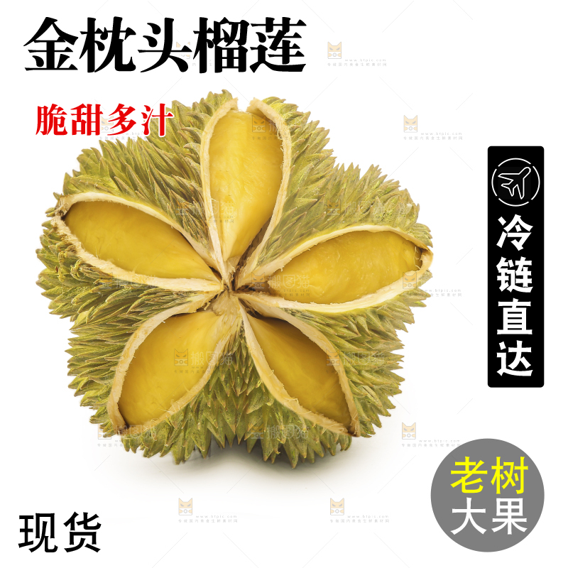 金枕榴莲