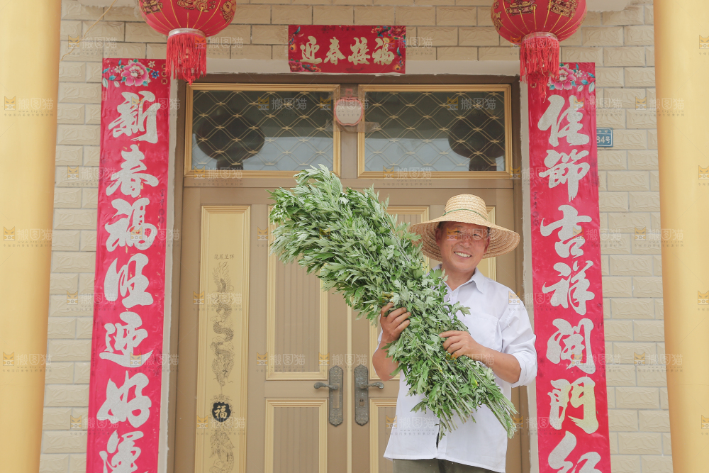 艾草