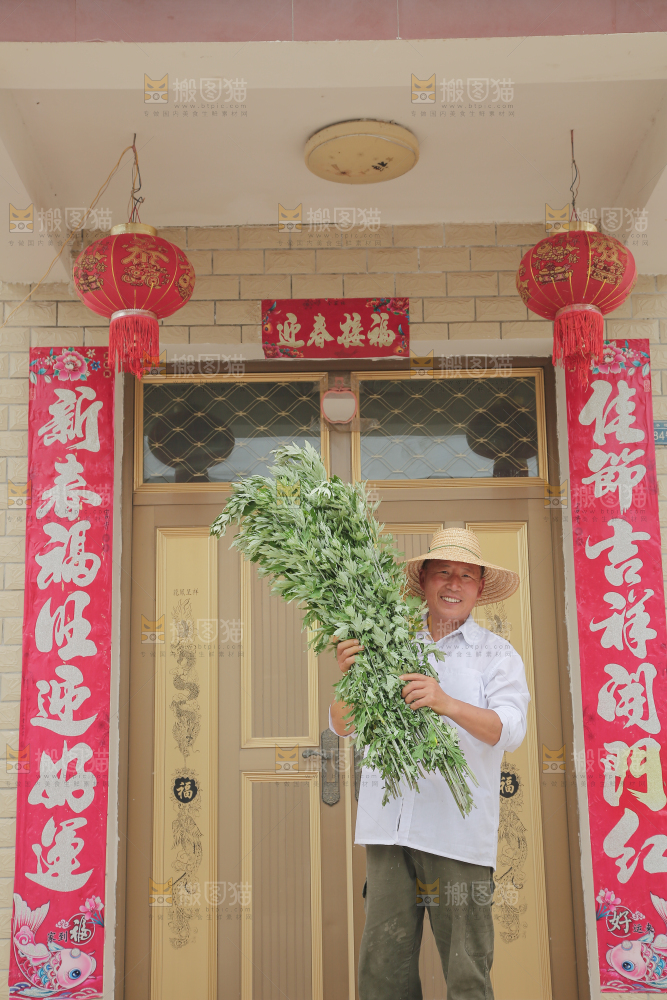 艾草