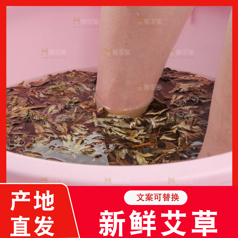 艾草