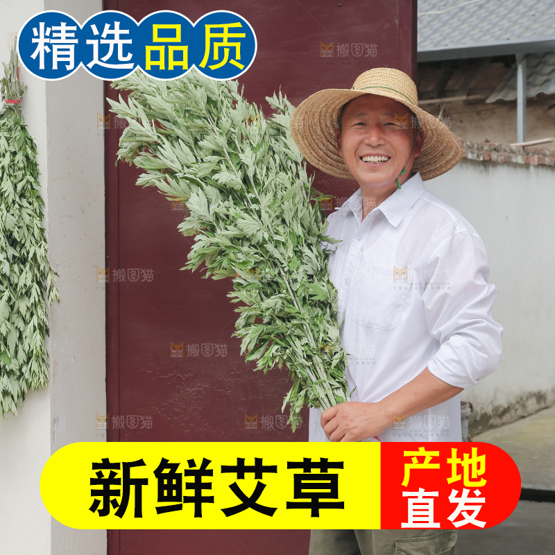 艾草