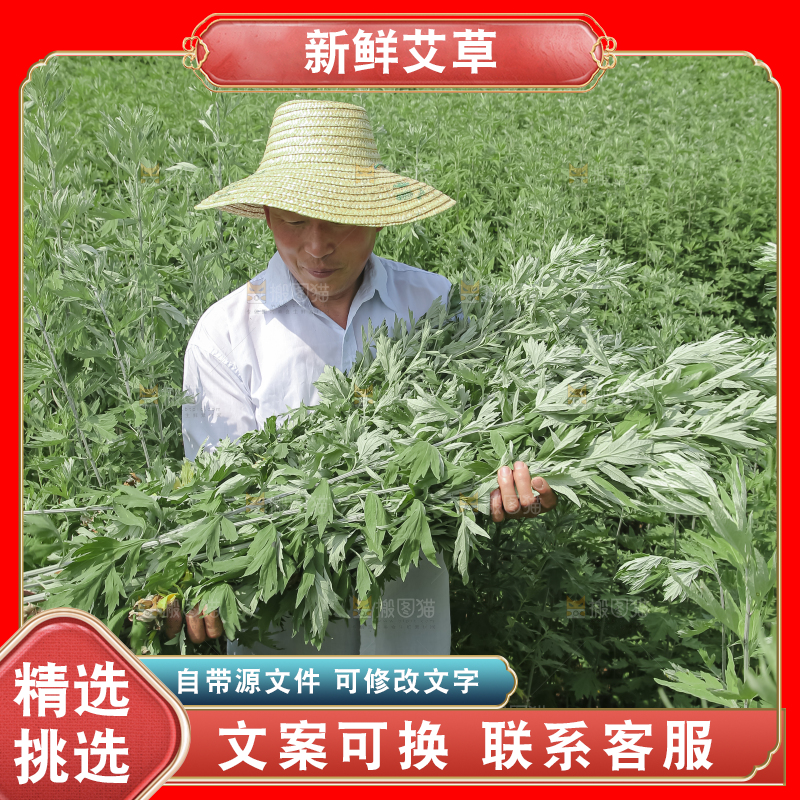 艾草