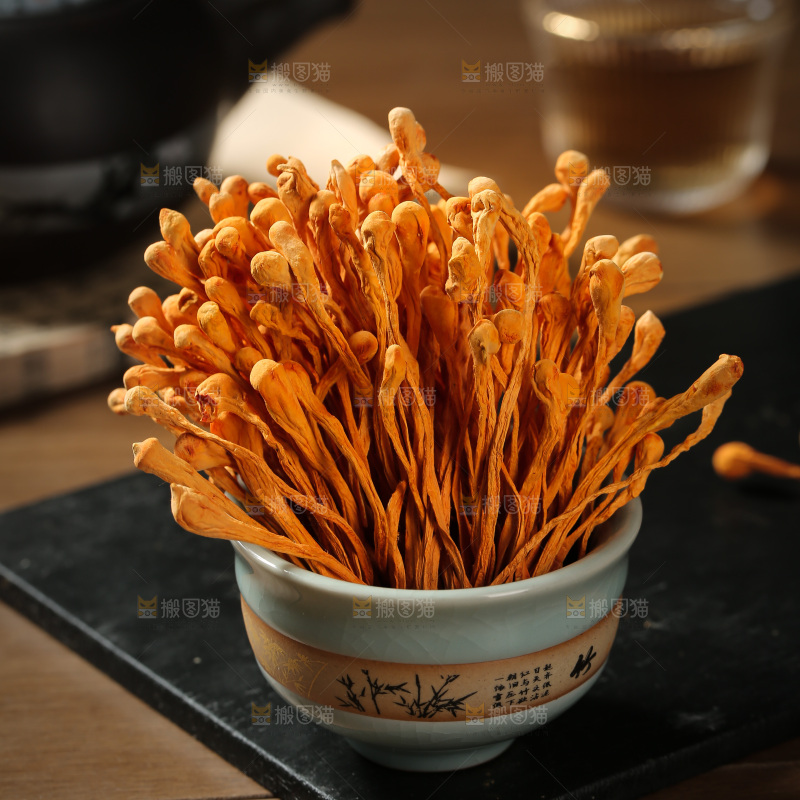 虫草花