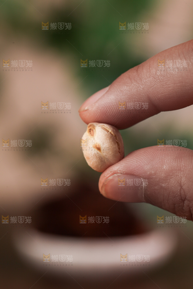 鹰嘴豆