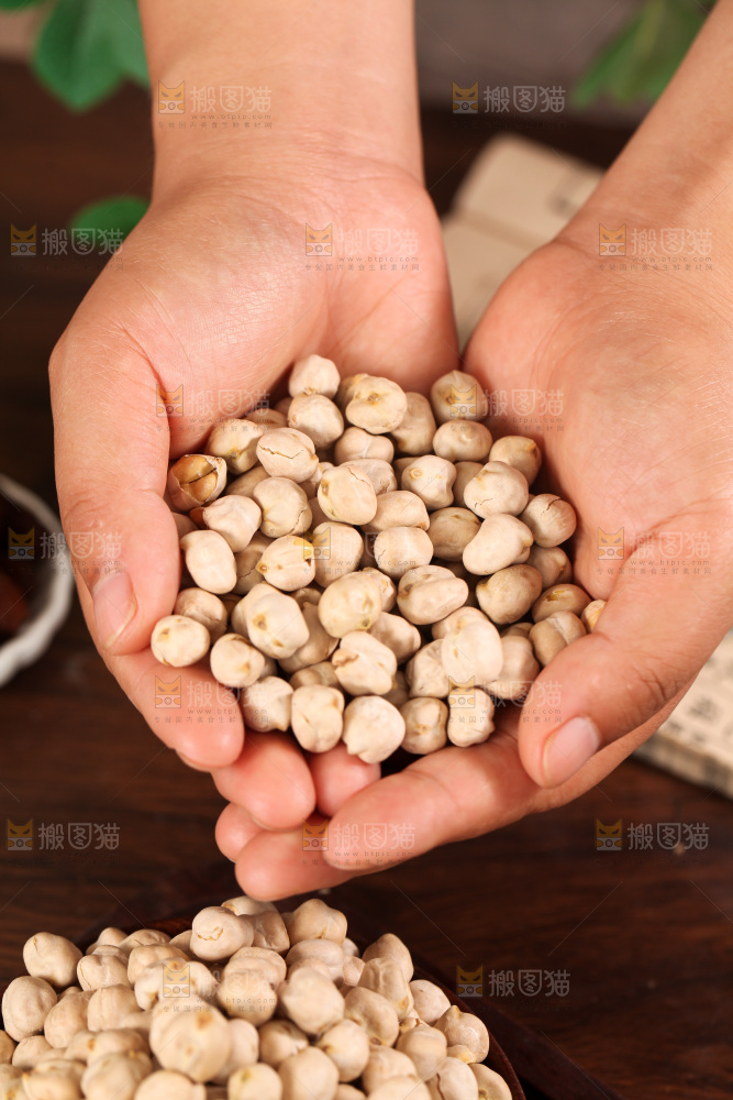 鹰嘴豆