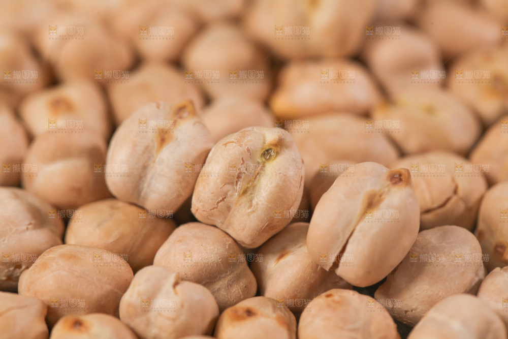 鹰嘴豆