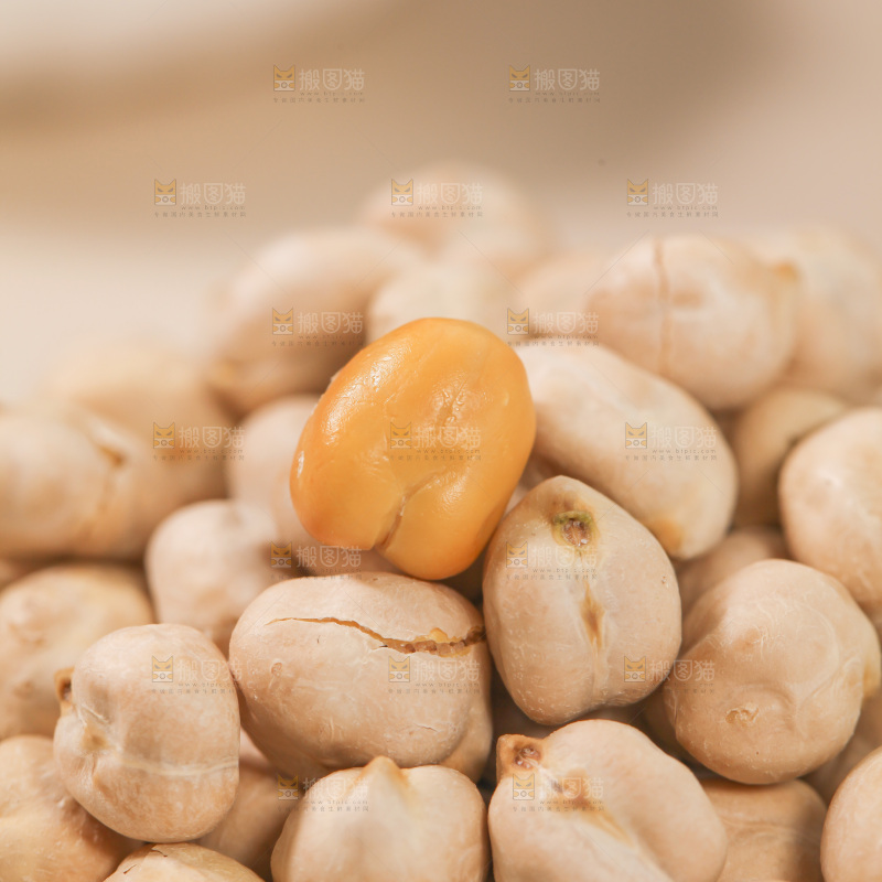 鹰嘴豆