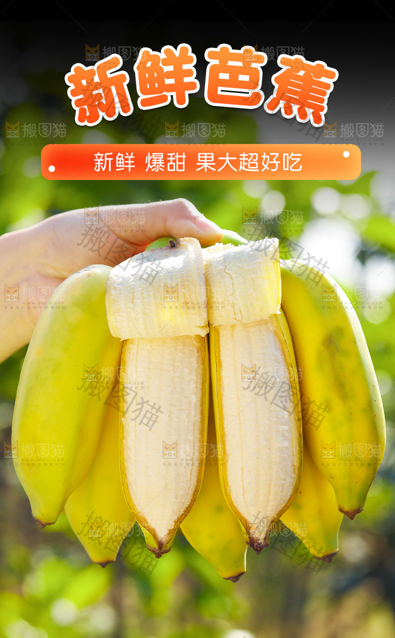 芭蕉详情页